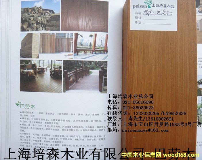 �̈́�ľ��1��Ԕ��(x��)��B