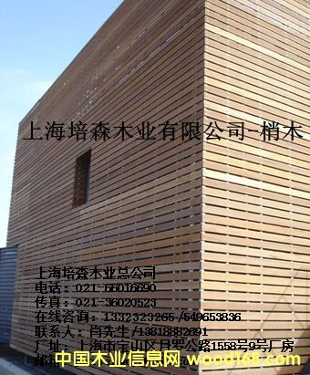 ��ľ��2��Ԕ��(x��)��B