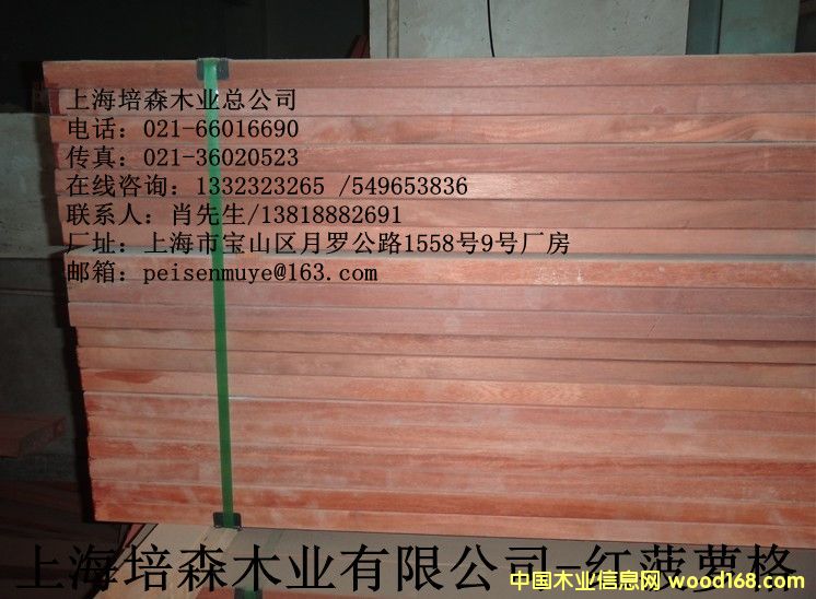 �t���}���Ԕ��(x��)��B