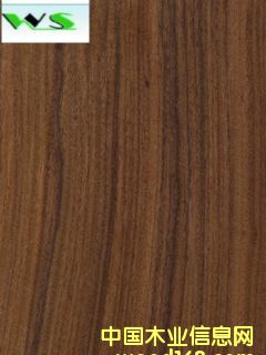 �M(j��n)����֦ľƤ