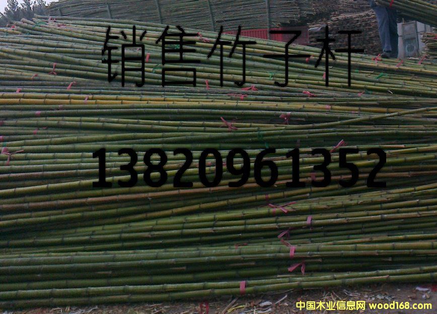 �c���鿴���ӷŴ�DƬ