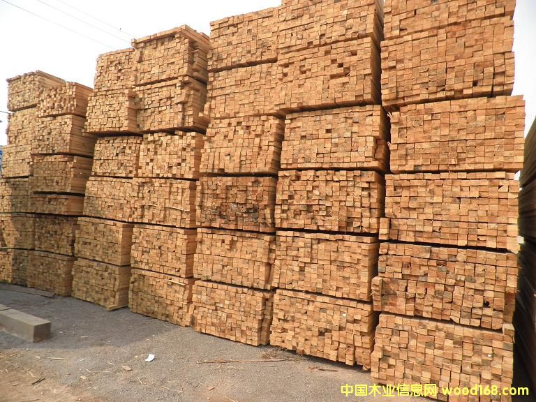 �Fɼ����ľ����Ԕ��(x��)��B