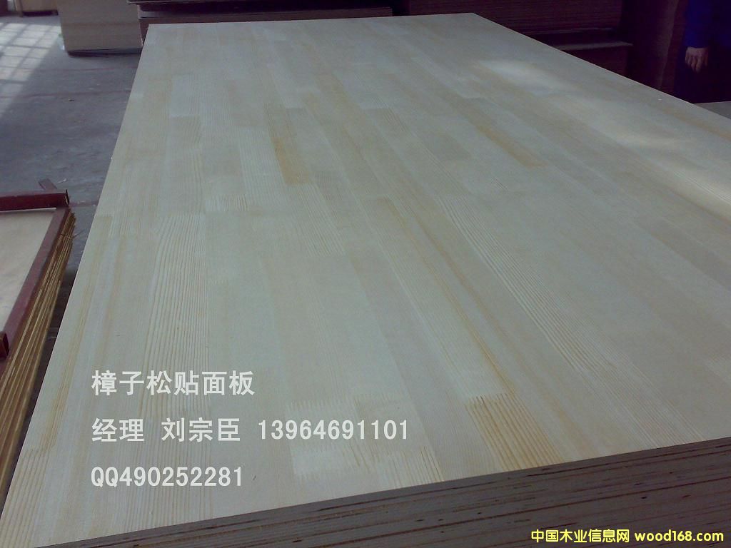 �������N���