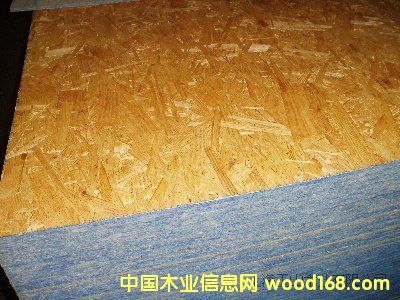 OSB���Ԕ��(x��)��B