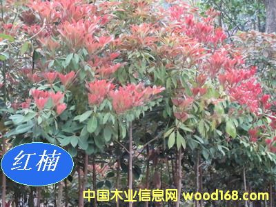 [��] ���ľN�磨�}����E骡�С�~���������ٻ�骡��t骣�