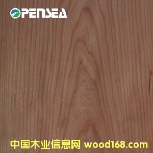 ���ҵ�Ԕ����B