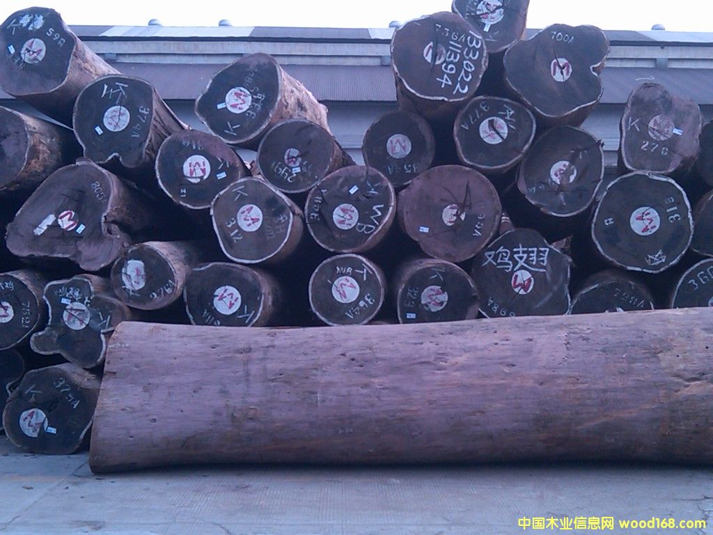 �u���Ԕ��(x��)��B