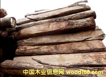 �������Ԕ��(x��)��B