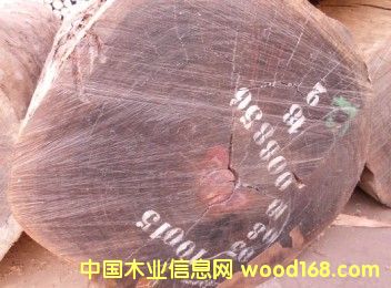 �t�Fľ��Ԕ��(x��)��B