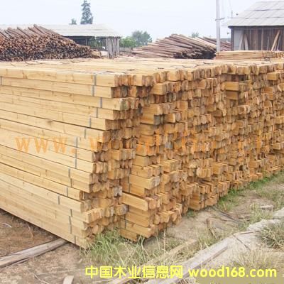 ɼľ����ɼľƴ��