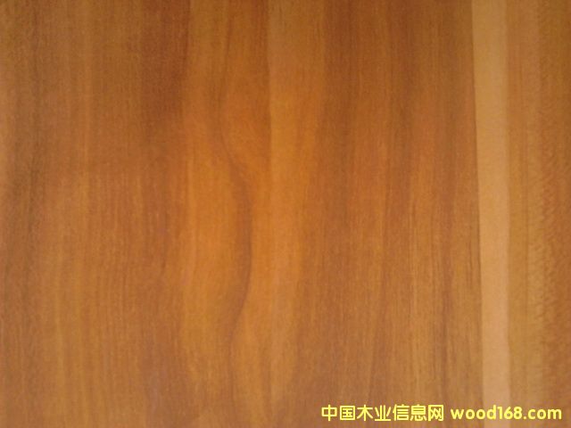 ����ľ��Ԕ����B