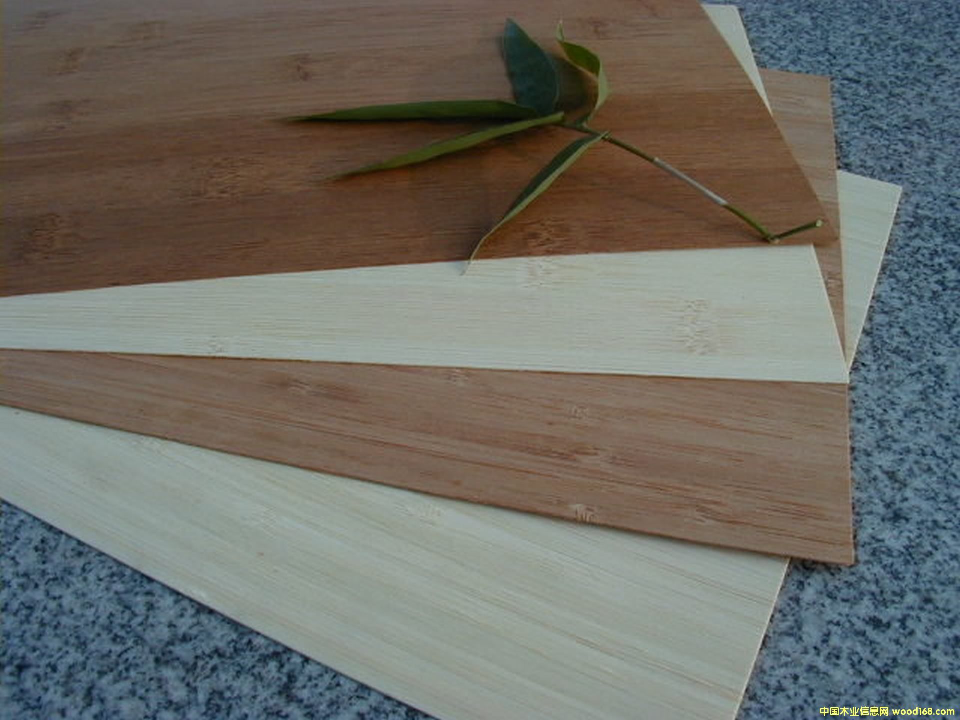 ��ɫ��Ƥ��Ԕ����B