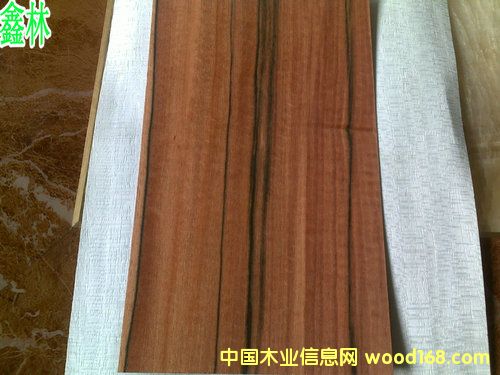 �t�O(p��ng)��ľƤ��Ԕ��(x��)��B