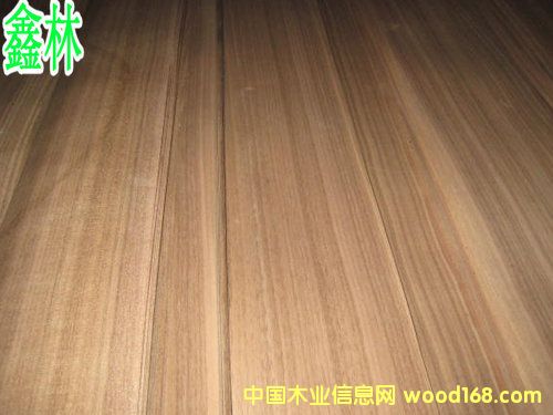 ��Ȼ�ں���ֱ�yľƤ��Ԕ��(x��)��B