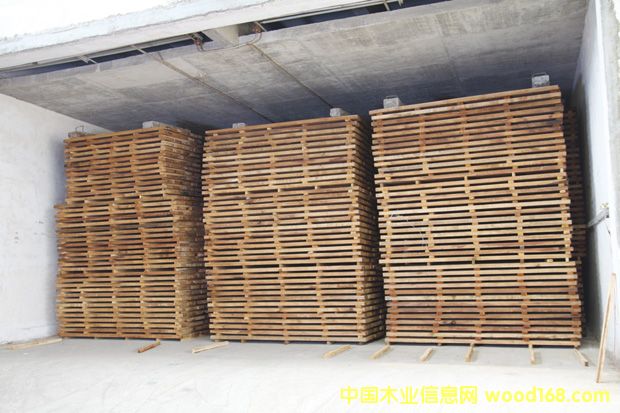 ��̴����֦ľ�ĺ�ɿ���