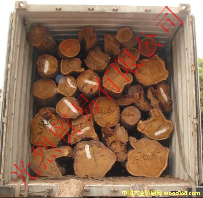 ֱ������50CM������