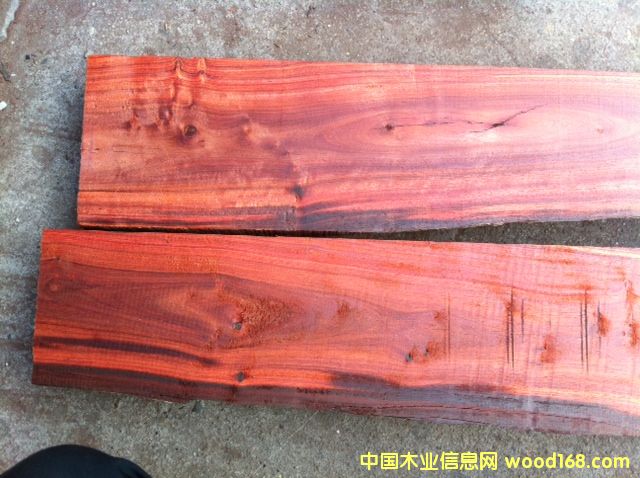 ������֦