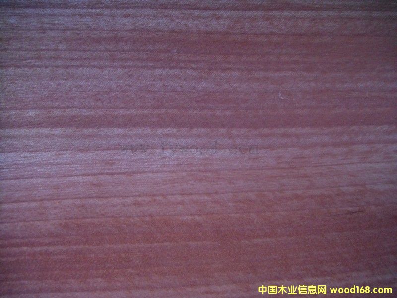 �t���ҵ�Ԕ��(x��)��B