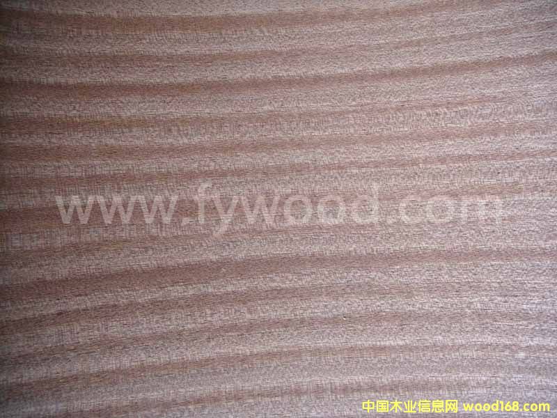 ��������Ԕ��(x��)��B