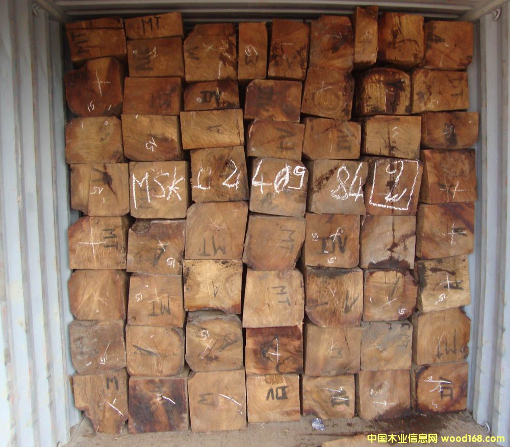 �����S���棨�����̴����Ԕ����B