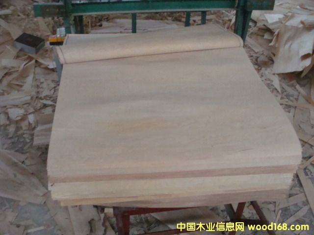 ��ľ����Ƥ��Ԕ��(x��)��B