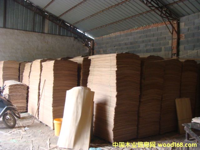 ��ľ�A��Ƥ��Ԕ��(x��)��B