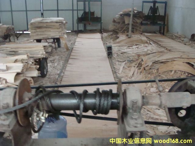 99��Ԕ��(x��)��B