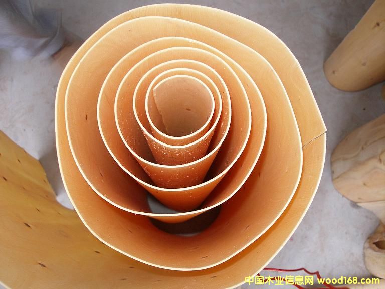 һ����ľ�ΰ��Ԕ��(x��)��B