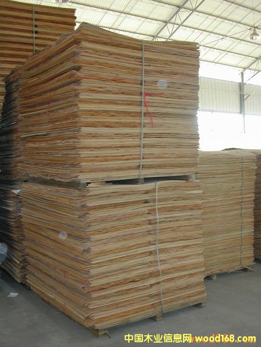 ��ľ�ΰ��Ԕ��(x��)��B