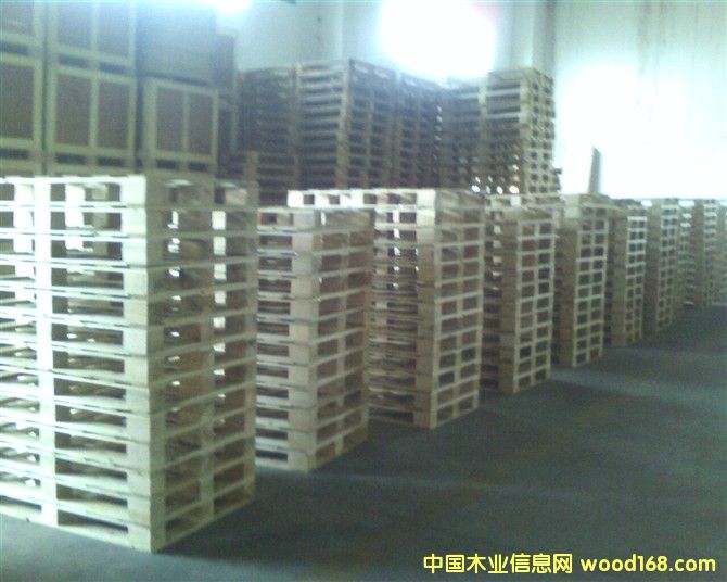 ������Ѭ���z�ϰ��бP