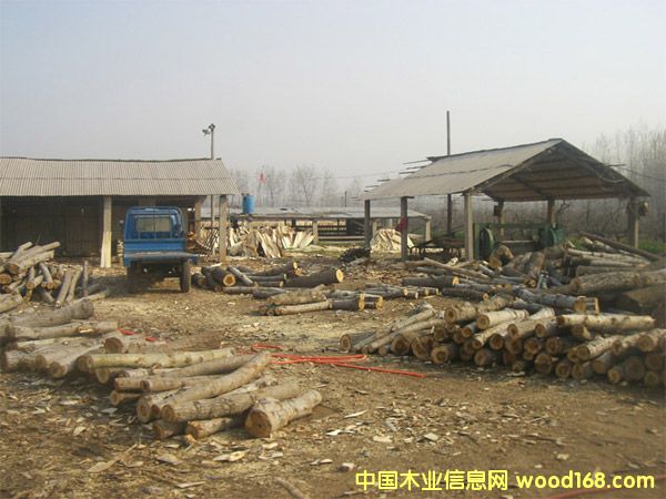 ��ľ��Ƥ��Ԕ��(x��)��B