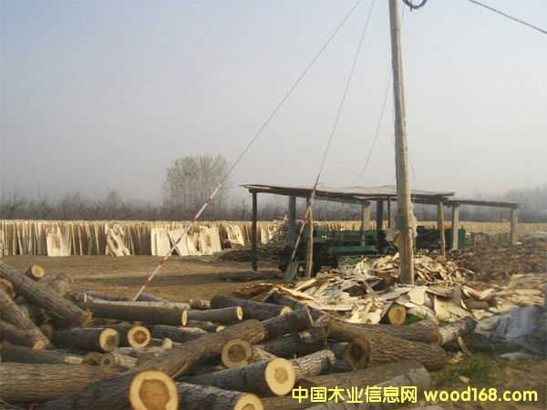 ��ľ��Ƥ��Ԕ��(x��)��B