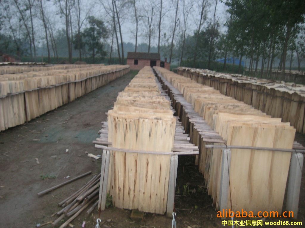 ��ľ��Ƥ��Ԕ��(x��)��B