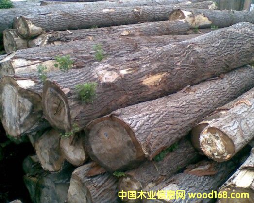 [��] ��Ϟ?z��i)���? title=