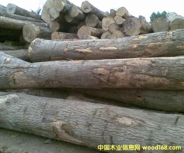 �W�ް�Ϟľԭľ