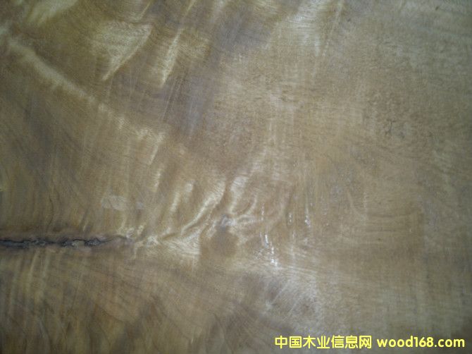 С�~�E骣���z�ľ����Ԕ����B