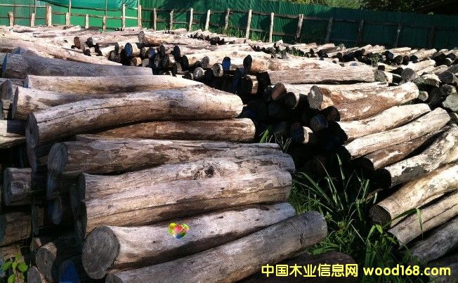 �ϓ��t��֦��Ԕ����B