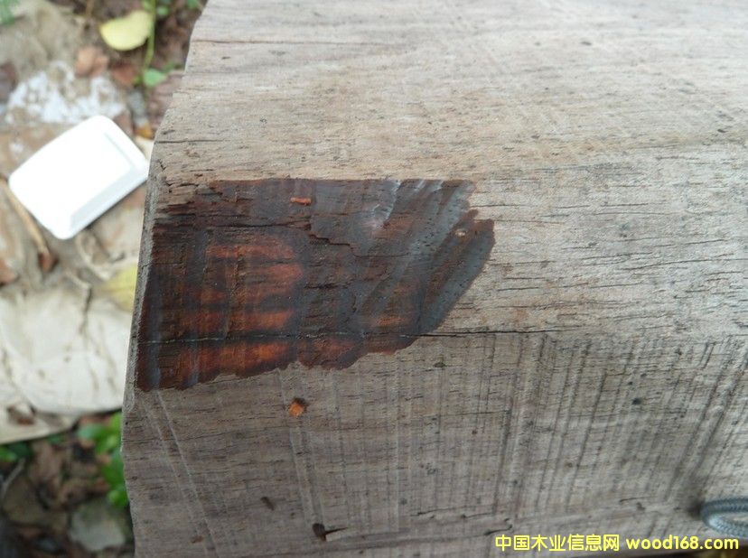 �ϓ��t��֦��Ԕ����B