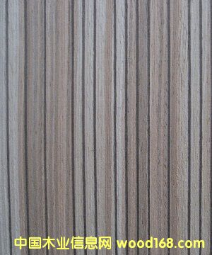 �Ƽ�ľƤ�N��EV.���R