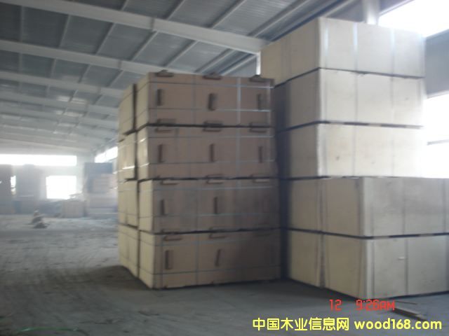 ��ɭ�����w���Ԕ����B