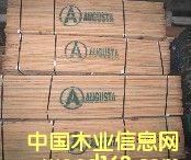 �t���Ԕ��(x��)��B