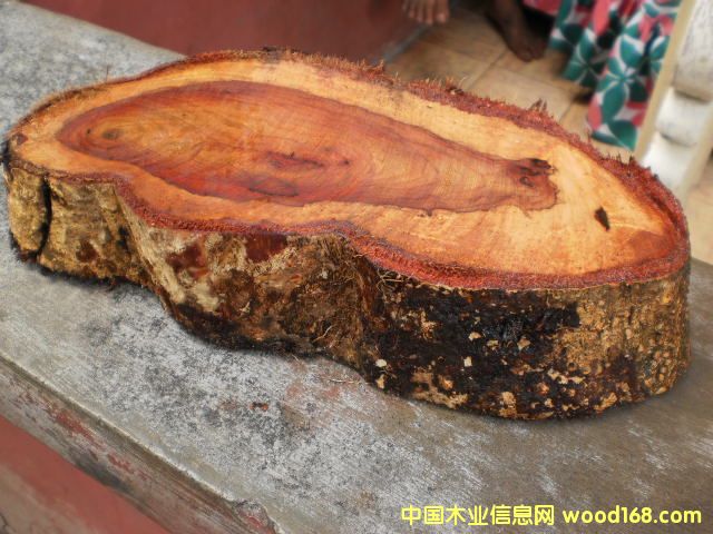 �{���� Narra ��Ԕ��(x��)��B