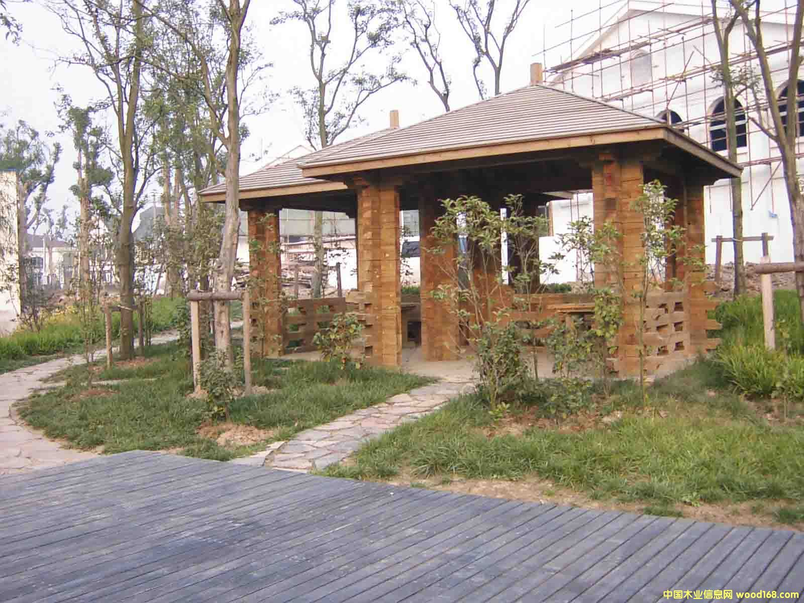 �c(di��n)���鿴���^ľ�Ŵ�DƬ