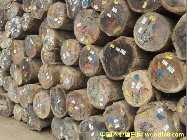 ����(y��ng) �R��(l��i)�����T(m��n)�񣨿���˹��ԭľ��Ԕ��(x��)��B