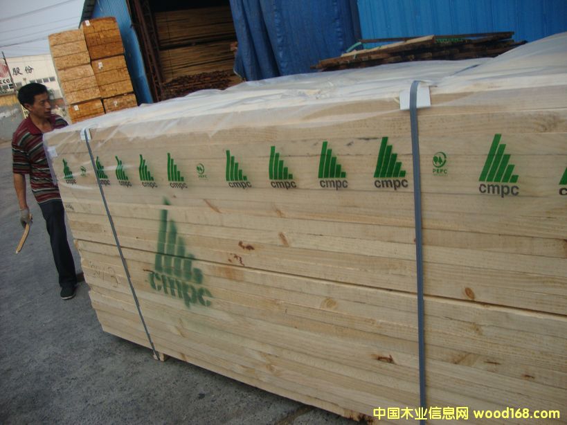 �M��ݗ���� ���5.0cmë�� ��Ԕ����B