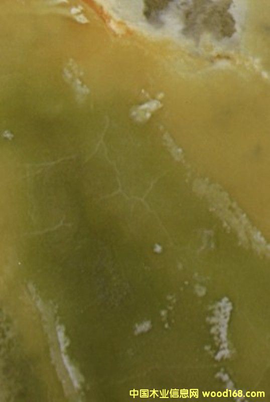 ��(hu��)���b�