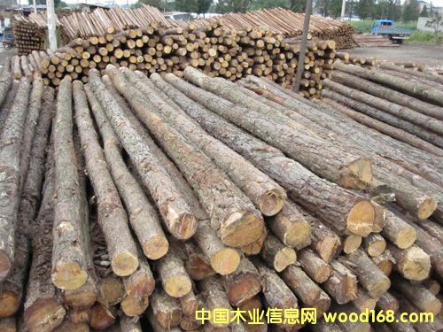 ɼľ��Ԕ��(x��)��B