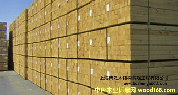 ����ľ������