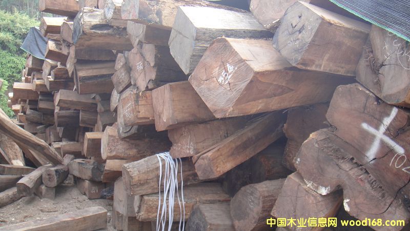 ���޻�֦1��Ԕ��(x��)��B