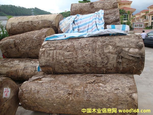 �����z��ľ��Ԕ��(x��)��B